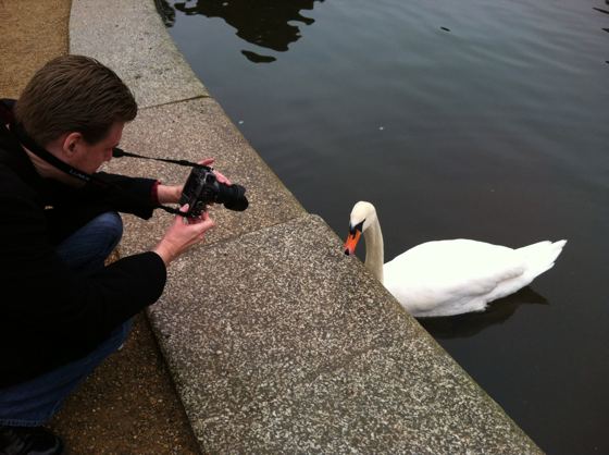 smile swan