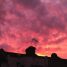 London photo of the day: fire in the sky