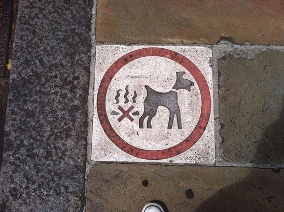 no-dog-poop sign in sidewalk