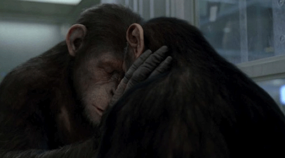 Rise of the Planet of the Apes