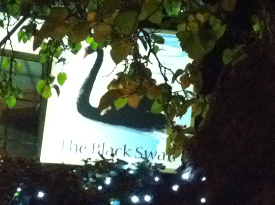 The Black Swan aka the Dirty Duck