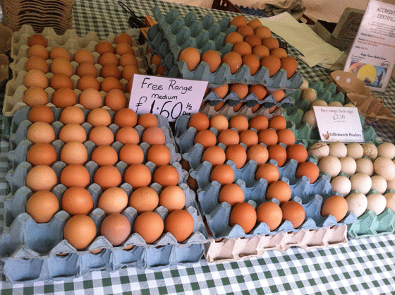 free range eggs