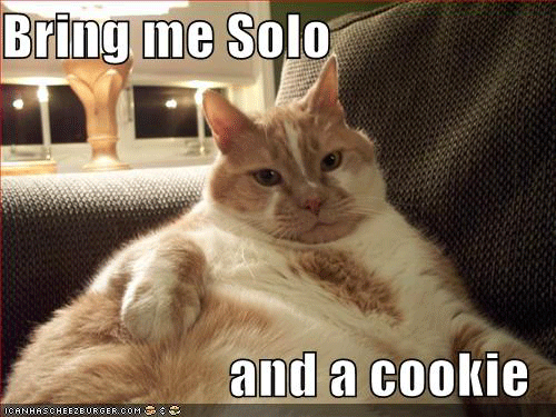 Jabba the Cat