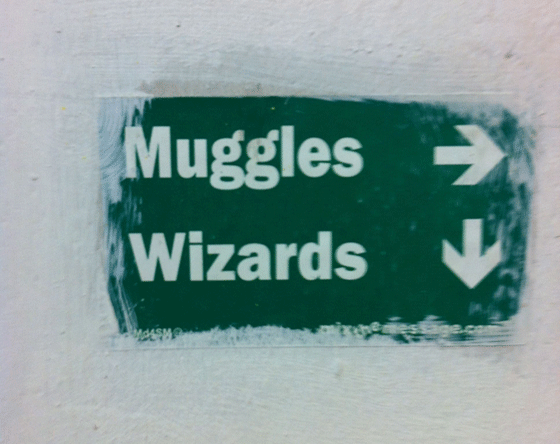 Muggles and Wizards