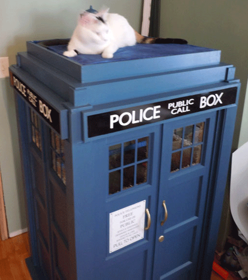 half-scale TARDIS for a cat by Astromark