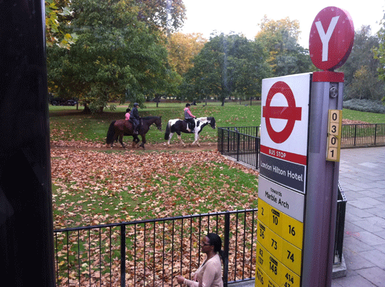 horses in Hyde Park