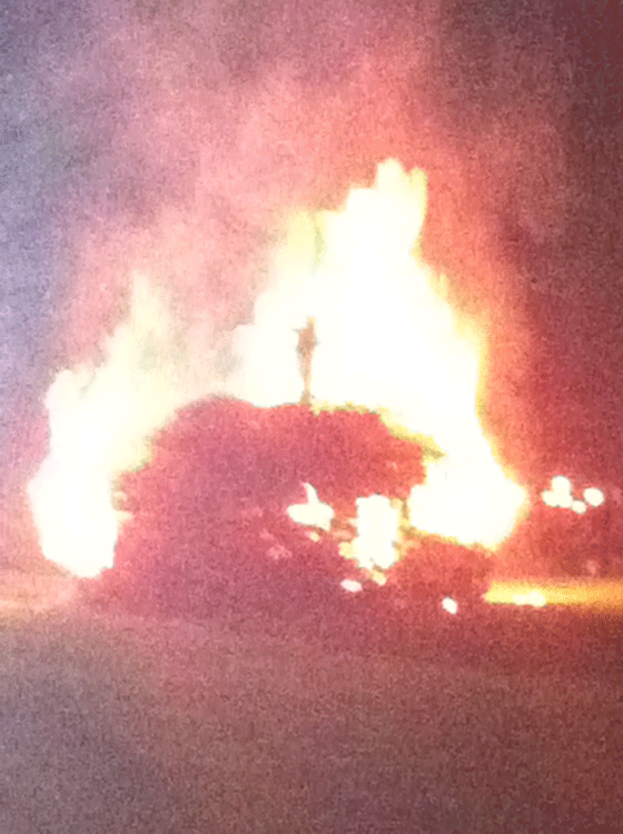 Wimbledon bonfire