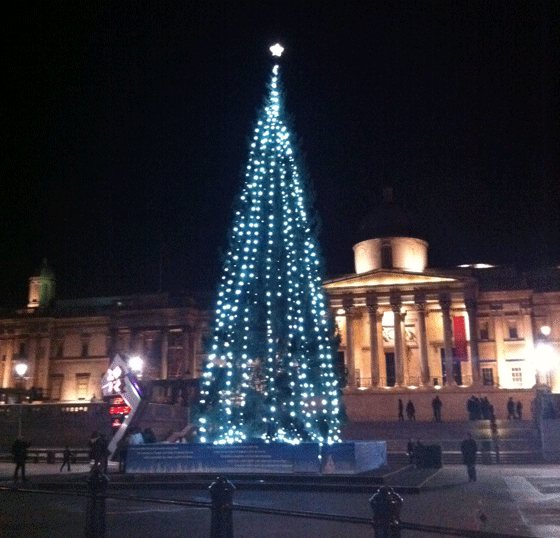 Trafalgar Square Christmas tree