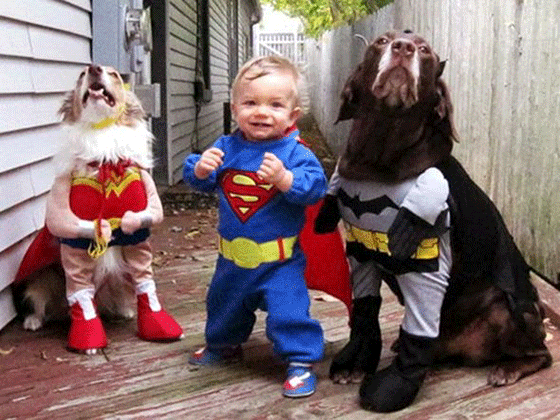 baby Superman with dog superheroes