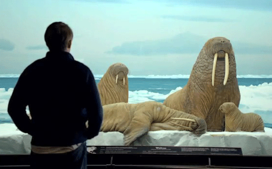 Matthew Broderick Honda ad