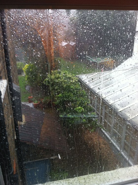 insane weather