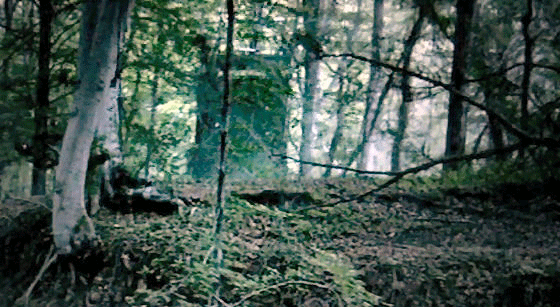 TARDIS in Sherlock