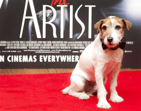 Uggie The Artist red carpet