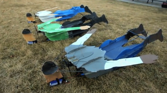 flying people RV kites Chronicle