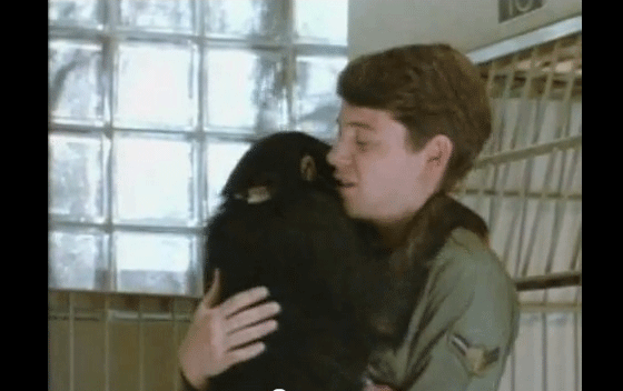 Project X Matthew Broderick