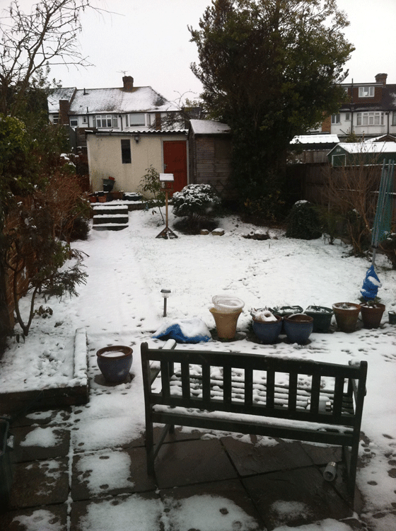 snowy Morden