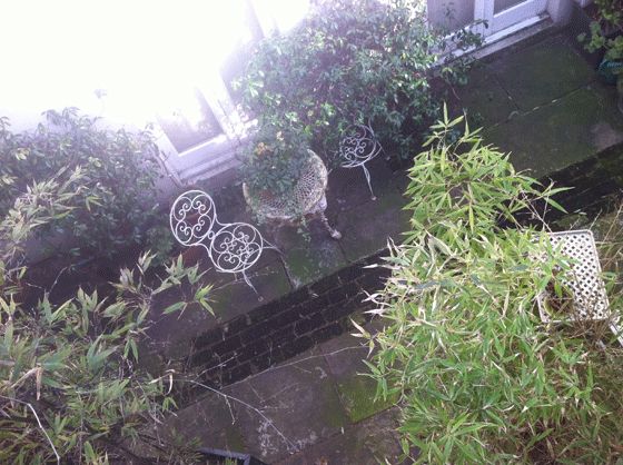 secret garden