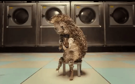 A Fantastic Fear of Everything