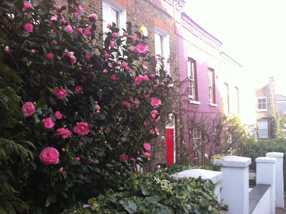 pretty London street