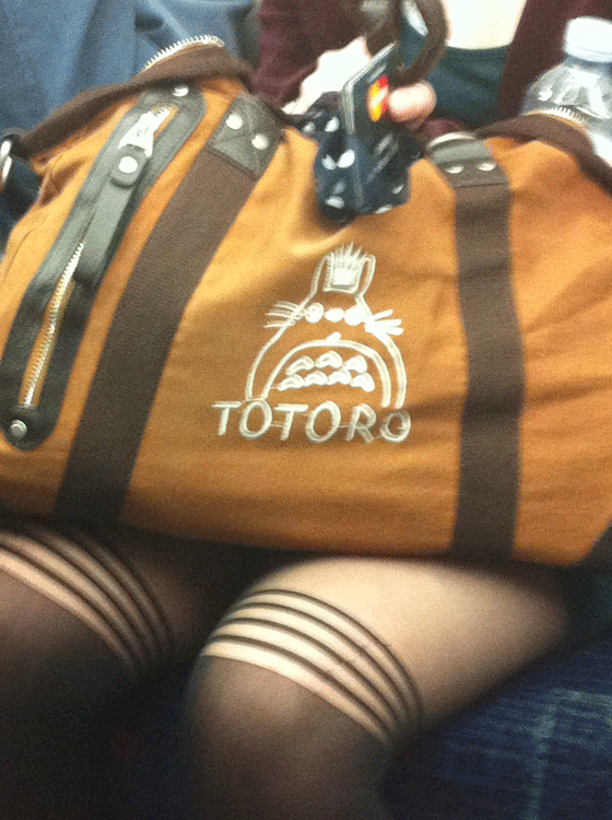 My Neighbor Totoro bag