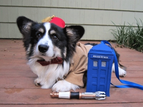 dog as Doctor Who