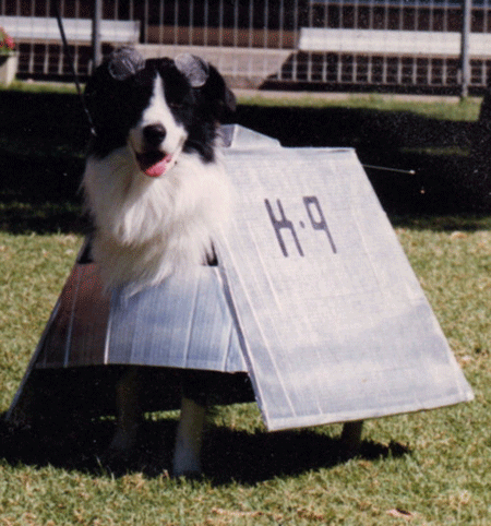 dog as Doctor Who