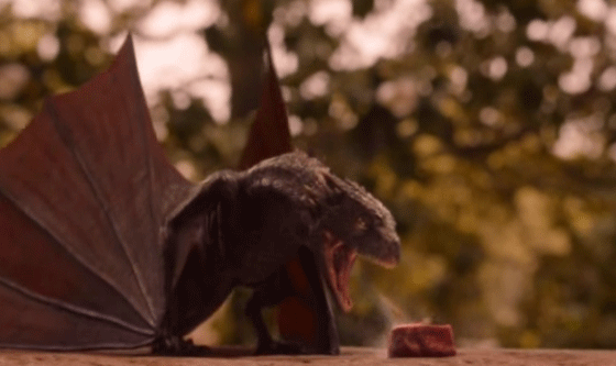 Game of Thrones baby dragon