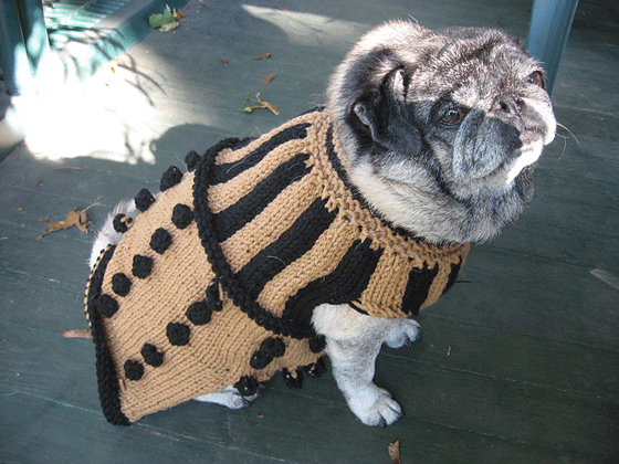 knitted Dalek dog sweater