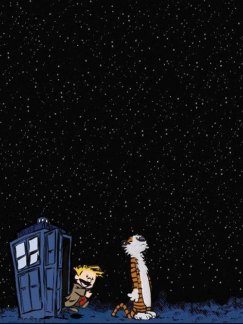 Doctor Calvin and companion Hobbes