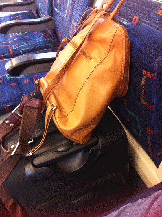 luggage seats