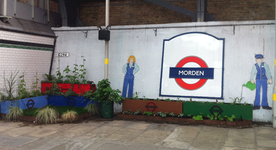 garden spot of Morden