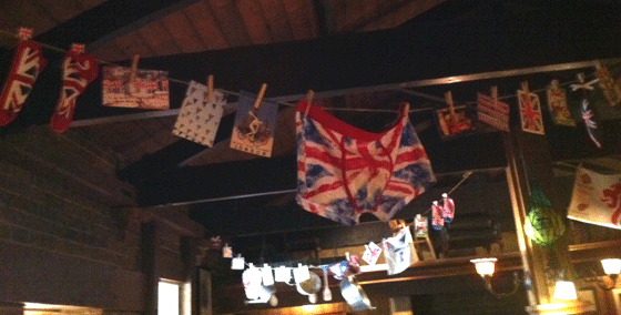 patriotic underpants