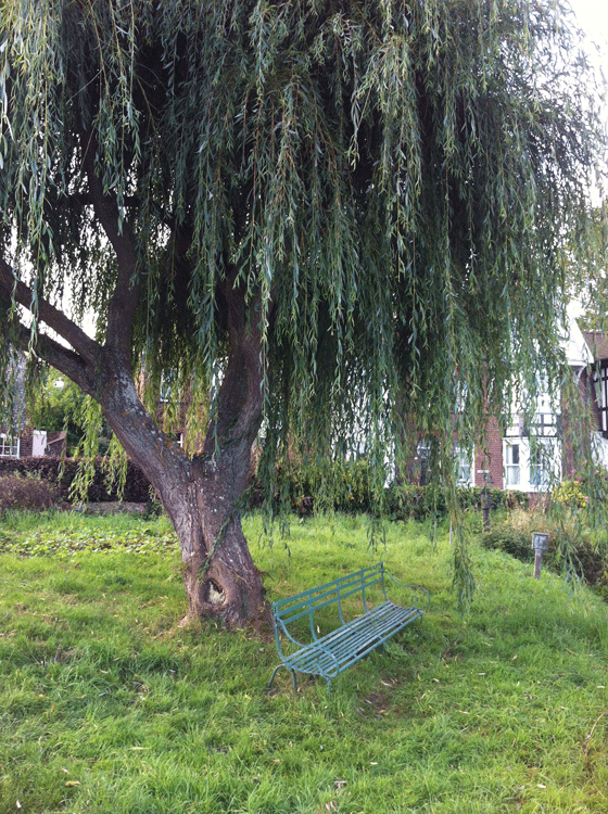 Norfolk summer idyll