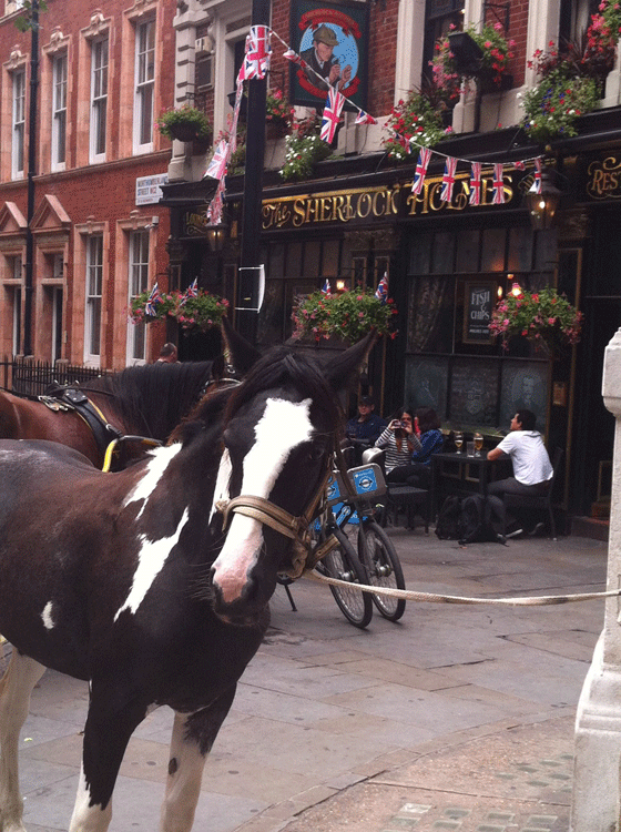 horse at the pub