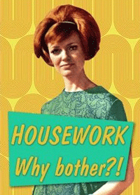 housework why bother