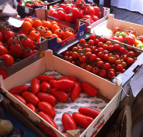 juicy tomatoes