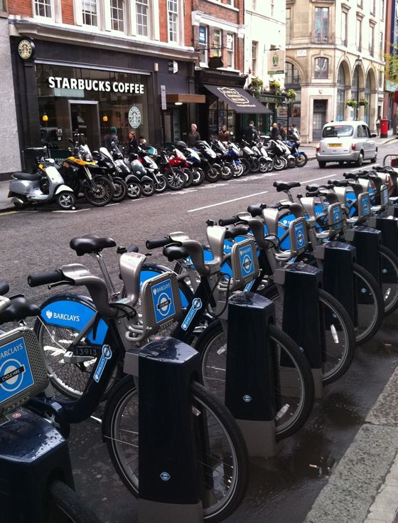 pretty bikes all in a row