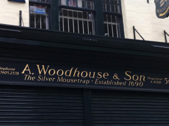 silver mousetrap