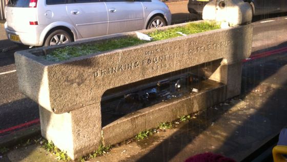 cattle trough