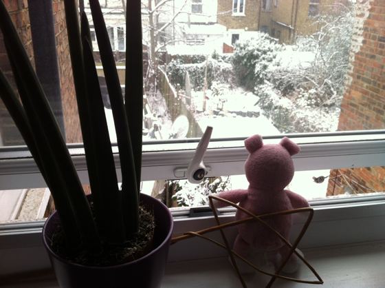 Nigel the Charity Pig