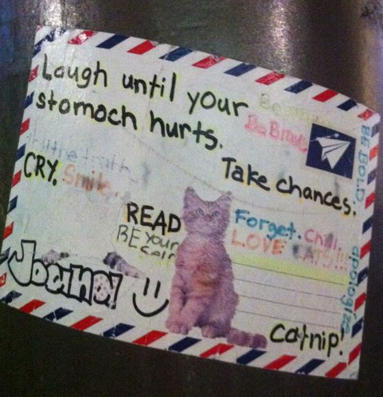 laugh until your stomach hurts