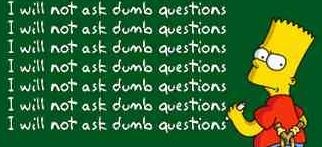 dumb questions