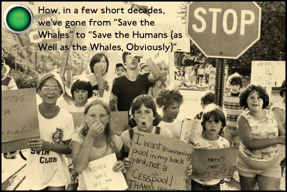 A Fierce Green Fire green light