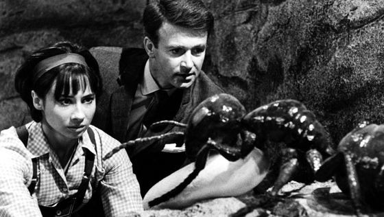Doctor Who Carole Ann Ford William Russell