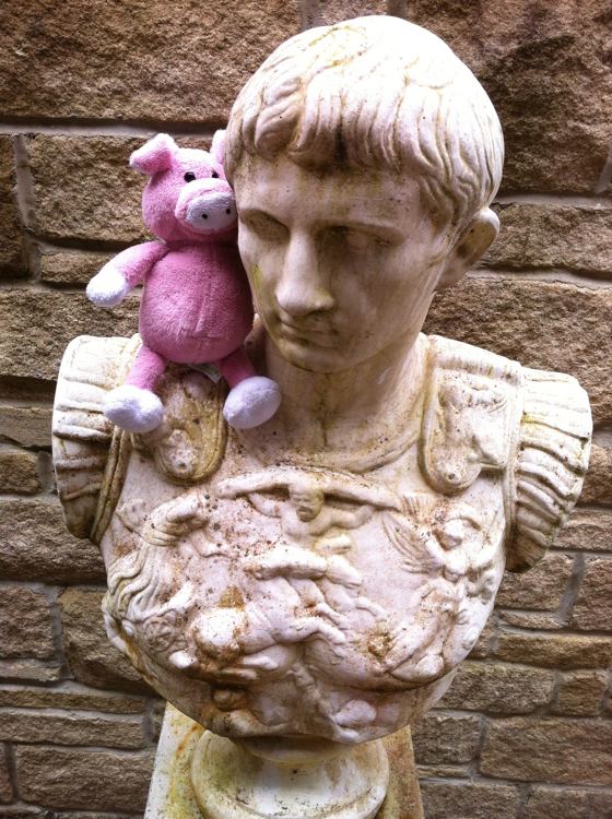 Nigel the Charity Pig in the Scottish Borders