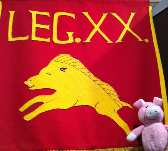 Nigel the Charity Pig in the Scottish Borders