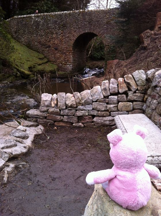Nigel the Charity Pig in the Scottish Borders