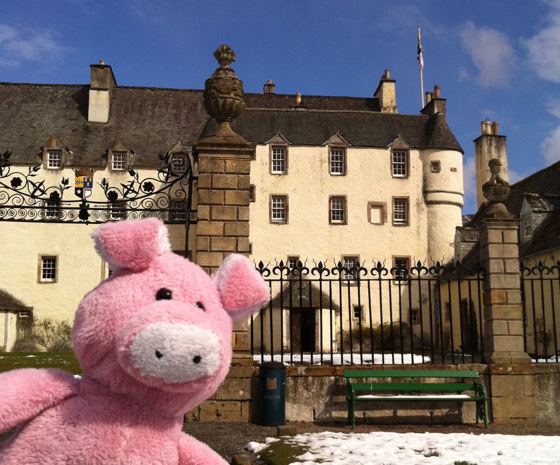 Nigel the Charity Pig in the Scottish Borders
