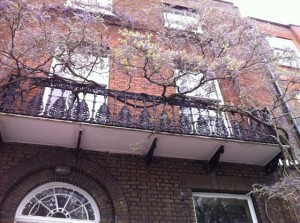 balcony tree