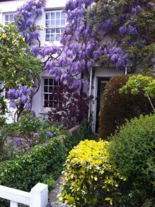wisteria cottage
